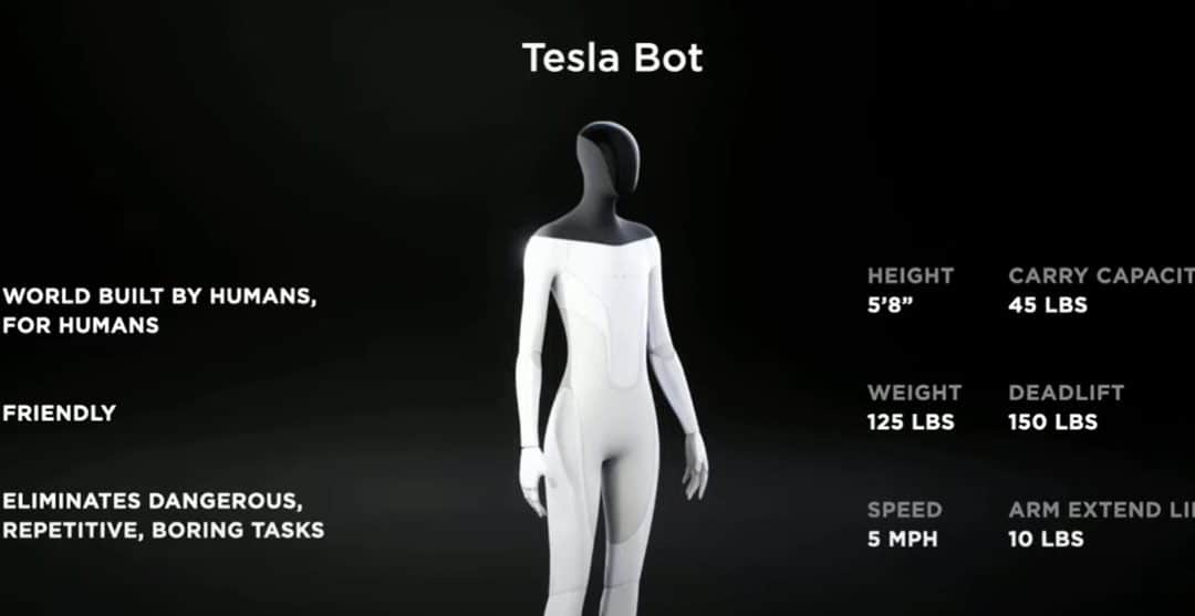 TeslaBot, teslarobot, tesla bot